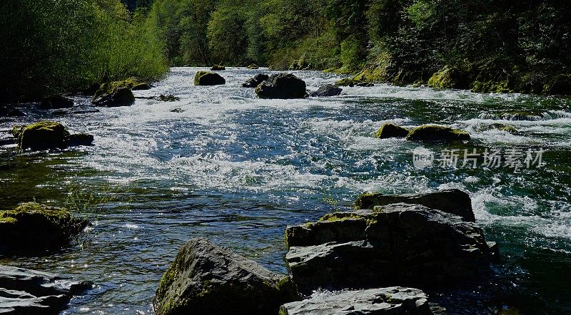 Quartzville Creek国家野生和风景河